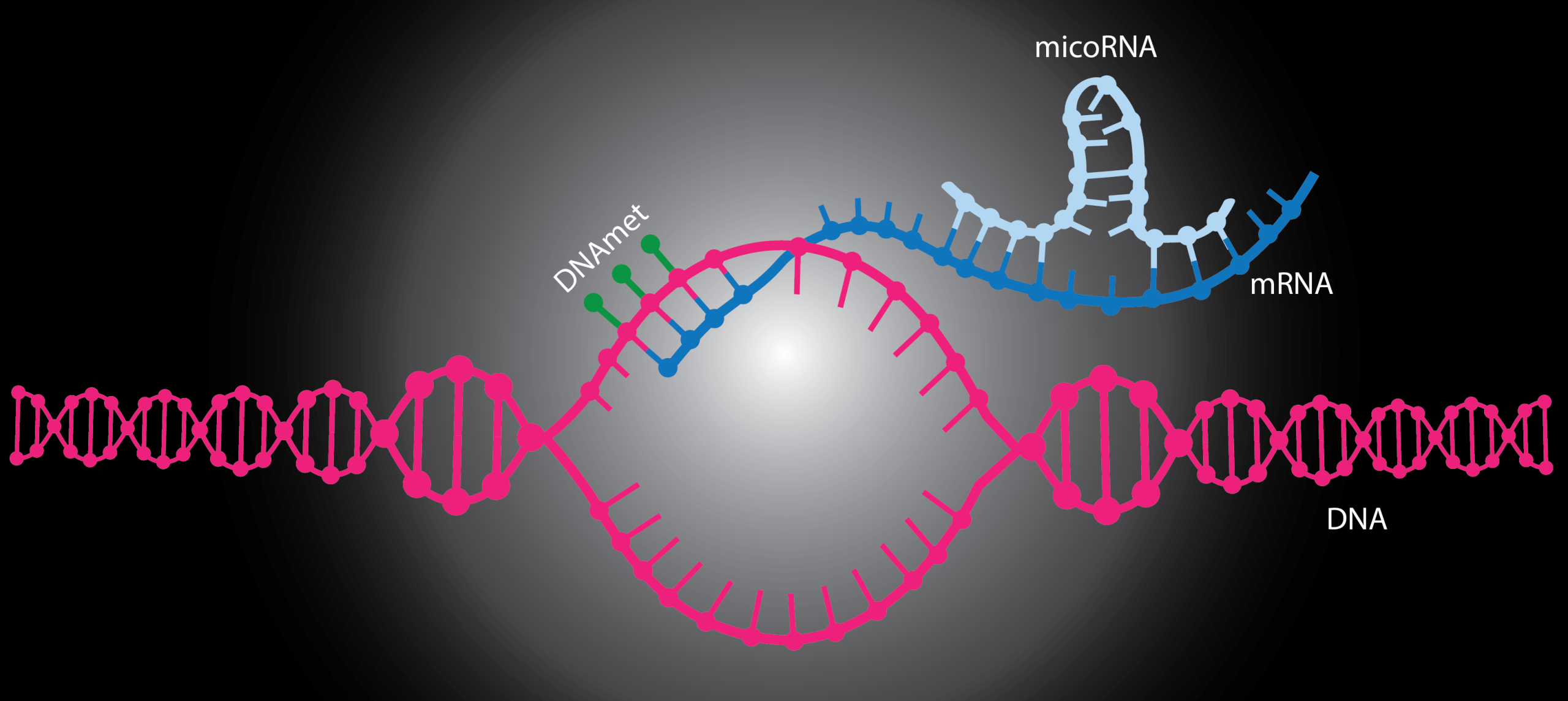 Multi-Omics Analysis: Deciphering Biological Complexity at Scale