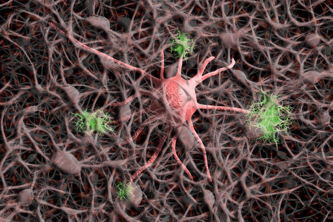 Neurodegeneration: Unraveling the Brain’s Decline