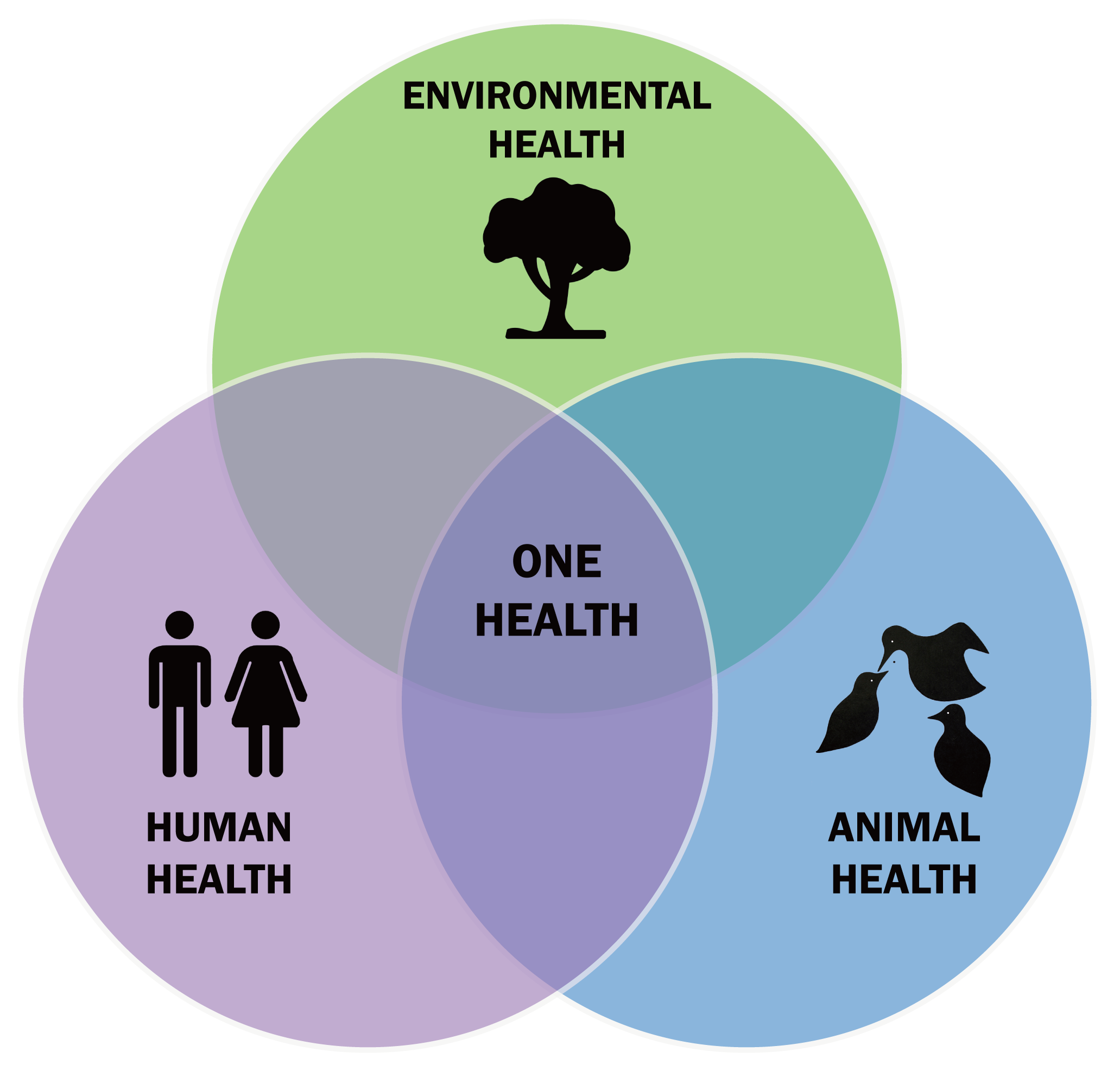 One Health: A New Blueprint for Global Well-being